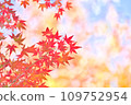 Autumn leaves season 109752954
