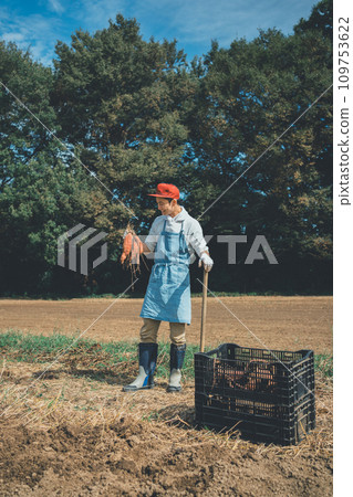 farmer, gents, male 109753622