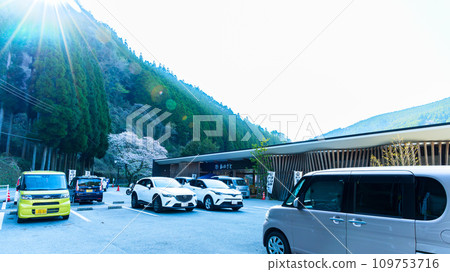 Scenery around Hyugagami Senbonzakura (Ko no Sato) Hyuga Dam (Yabe Village, Yame City) Scenery around Hyugagami Senbonzakura (Ko no Sato) Hyuga Dam (Yabe Village, Yame City) 109753716