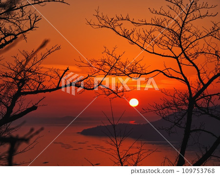Evening view of the Harima Sea from Cape Manyo in December 2023 109753768
