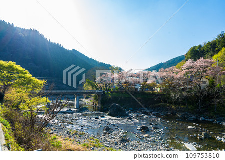 日向神千本櫻日向水庫週邊風景(八女市矢部村) 日向神千本櫻日向水庫週邊風景(八女市矢部村) 109753810
