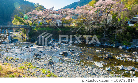 日向神千本櫻日向水庫週邊風景(八女市矢部村) 日向神千本櫻日向水庫週邊風景(八女市矢部村) 109753814