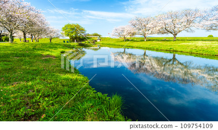 A sightseeing spot with cherry blossom trees and water mirrors against the backdrop of a bright spring sky: Roadside Station “Mizube Plaza Kamomoto” A sightseeing spot with cherry blossom trees and water mirrors against the backdrop of a bright spring sky: Roadside Station “Mizube Plaza Kamomoto” 109754109