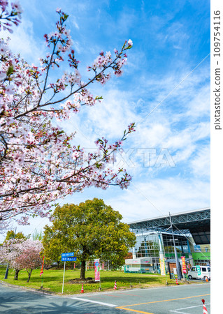 鴨本水部廣場,一個以櫻花樹和明亮的春天天空為背景的路邊車站 鴨本水部廣場,一個以櫻花樹和明亮的春天天空為背景的路邊車站 109754116