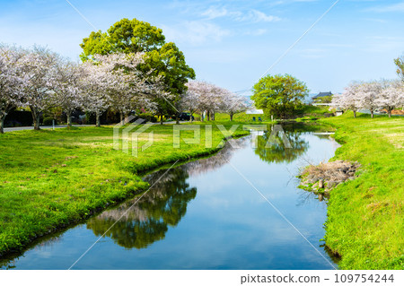 春天的天空映襯下櫻花樹和水鏡 - 路邊休息站“水邊廣場鴨本” 春天的天空映襯下櫻花樹和水鏡 - 路邊休息站“水邊廣場鴨本” 109754244