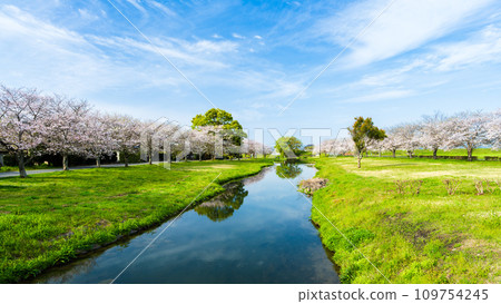 道路休息站“鴨本水部廣場”，在春日明媚的天空下，櫻花樹和水鏡映襯下 109754245