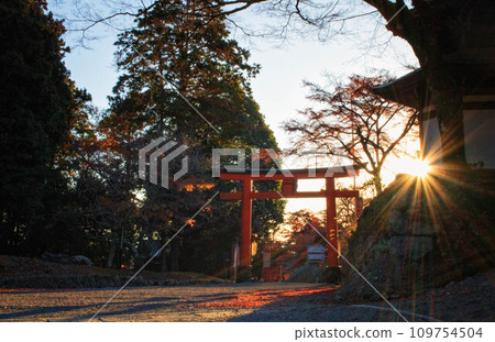 The precincts of Hiyoshi Taisha Shrine and autumn scenery in Otsu City, Shiga Prefecture bathed in the morning sun The precincts of Hiyoshi Taisha Shrine and autumn scenery in Otsu City, Shiga Prefecture bathed in the morning sun 109754504