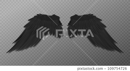 Black bird or dark agel wings with realistic feathers from back view 109754726