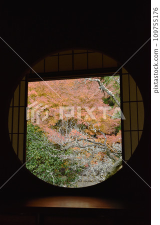 Window of Enlightenment Unryuin Autumn 109755176