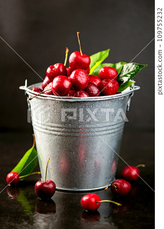Preparing cherries for jam. Ripe sweet cherry berry with leaves in a bucket on a black wooden board Preparing cherries for jam. Ripe sweet cherry berry with leaves in a bucket on a black wooden board 109755232