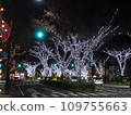 Illumination Keyaki Boulevard 109755663