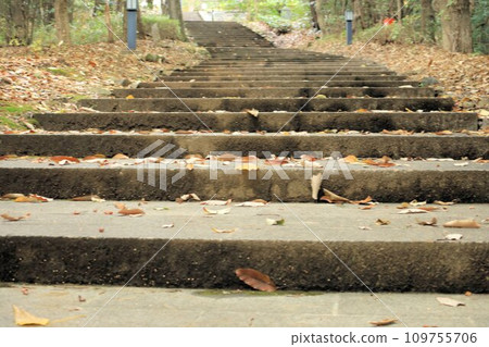 Stairs with falling leaves Stairs with falling leaves 109755706