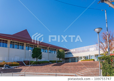 東京藍天下的藤森體育館 109755747