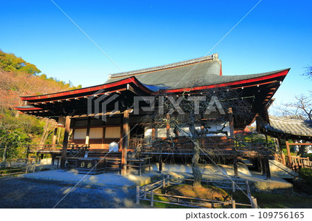 [京都府] 晴天的天龍寺多寶殿 109756165