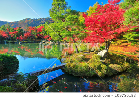 [Kyoto Prefecture] Symmetrical autumn leaves of Arashiyama Tenryu-ji Temple (Sogenike Garden) 109756188