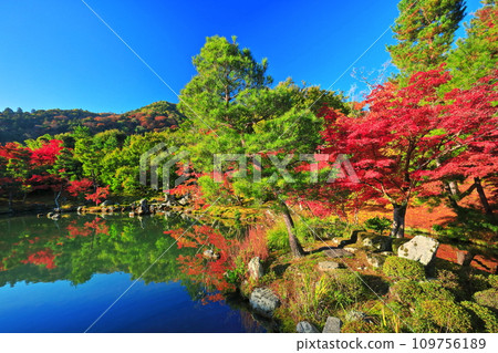 [京都府]嵐山天龍寺的對稱秋葉（草源池庭園） 109756189