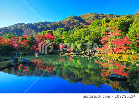 [Kyoto Prefecture] Symmetrical autumn leaves of Arashiyama Tenryu-ji Temple (Sogenike Garden) 109756194