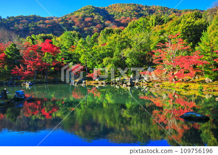 [京都府]嵐山天龍寺的對稱秋葉（草源池庭園） 109756196