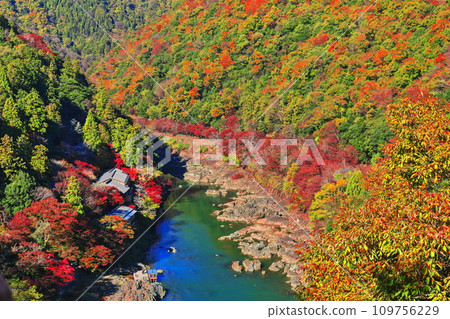 [Kyoto Prefecture] Hozugawa River cruise with clear skies and autumn leaves (Arashiyama, Katsuragawa, Rankyo) 109756229