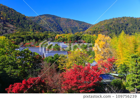 [京都府] 嵐山晴空、天龍寺秋葉 109756239
