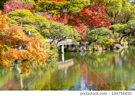 Autumn leaves at the Japanese garden in Sorakuen, Kobe City Autumn leaves at the Japanese garden in Sorakuen, Kobe City 109756695
