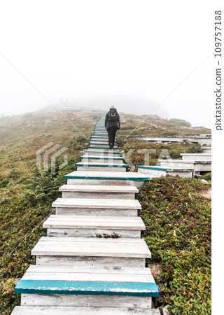 Clouds and fog over Gulf St. Lawrence from boardwalk Skyline Trail in Cape Breton Highlands National Park, Nova Scotia 109757188