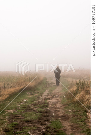 Girl hiking Mountain scenic trail after rain Green forest covered fog Cape Breton National Park Nova Scotia Canada 109757195