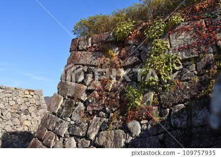 石垣和秋葉 石垣和秋葉 109757935