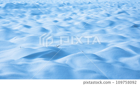White and blue nature Christmas backdrop 109758092