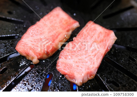 Satsuma Beef Special Loin Yakiniku Satsuma Beef Special Loin Yakiniku 109758300