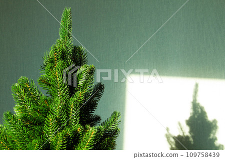 Green Christmas tree and a shadow on the wall. Beautiful Christmas background. Lush green spruce with beautiful long needles. New Year background. Close-up. Natural nature. Holiday event. Abstract Green Christmas tree and a shadow on the wall. Beautiful Christmas background. Lush green spruce with beautiful long needles. New Year background. Close-up. Natural nature. Holiday event. Abstract 109758439