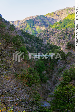 靜岡縣/須又峽遠景「飛龍橋」[Okuoi/Oxys] 109759650