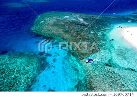 Matamanoa Island Coral Reef Matamanoa Island Coral Reef 109760714