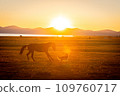 夕陽下的宋庫爾湖 109760717
