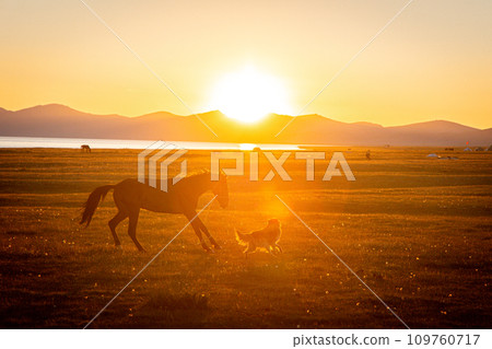 夕陽下的宋庫爾湖 109760717