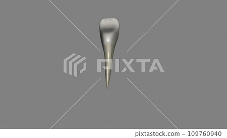 The mandibular lateral incisor is the tooth located distally from both mandibular central incisors of the mouth 109760940