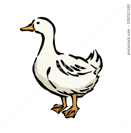 鴨子簡單圖解（肉用） 109761380