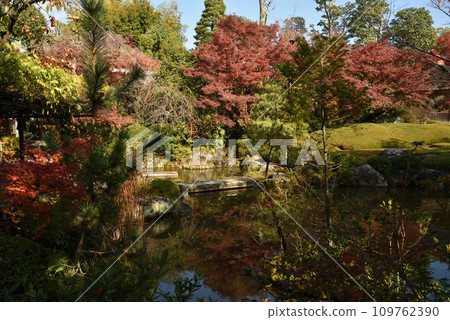 Yokoen, Taizoin, Myoshinji, Autumn 109762390