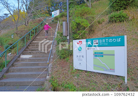 福岡縣東寶村搭乘常彥山線 BRT 前往大行寺站巴士站的人。 109762432