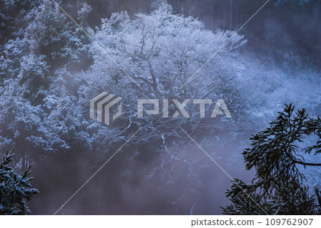 [Jigokudani Onsen] Snowy scenery and steam [Yamanouchi Town, Shimotakai District] 109762907