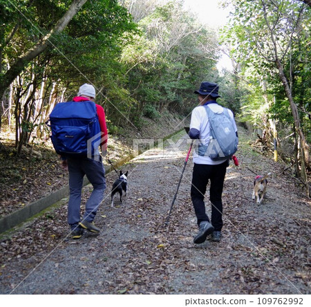 Climbing with dog 109762992