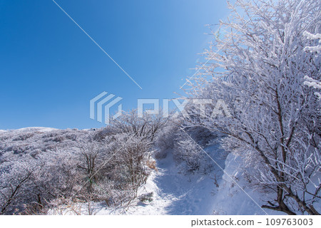 冬天的九重山,晴空萬裡,白雪皚皚,日本名山百選,大分縣九重山脈 冬天的九重山,晴空萬裡,白雪皚皚,日本名山百選,大分縣九重山脈 109763003