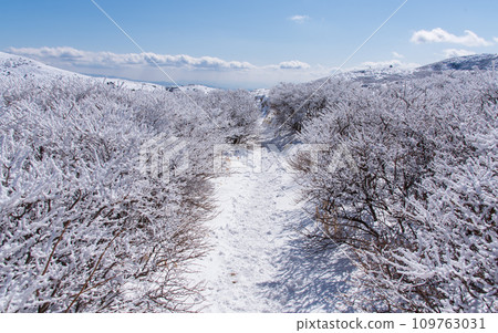 Mt. Kuju in winter with clear skies and snow, Japan's 100 Famous Mountains, Kokonoe Mountains, Oita Prefecture Mt. Kuju in winter with clear skies and snow, Japan's 100 Famous Mountains, Kokonoe Mountains, Oita Prefecture 109763031