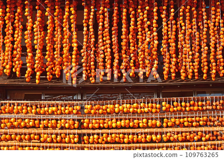 Landscape with a roar 109763265