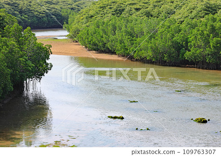 石垣島宮良川風光 109763307