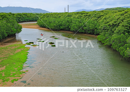 Ishigaki Island, Miyara River scenery 109763327