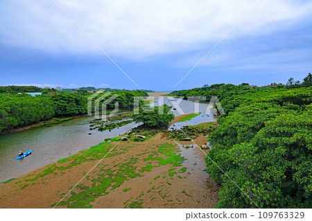 Ishigaki Island, Miyara River scenery Ishigaki Island, Miyara River scenery 109763329