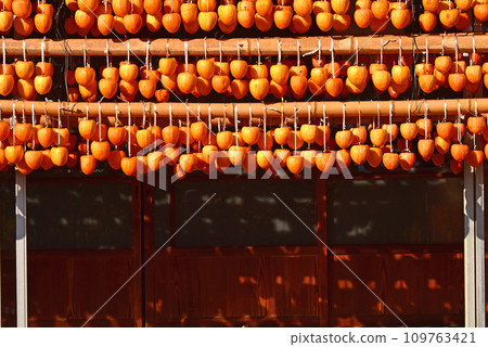 Landscape with a roar 109763421