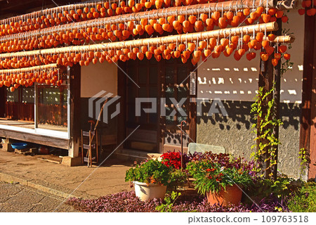 Landscape with a roar Landscape with a roar 109763518