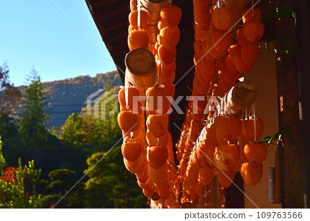 Landscape with a roar Landscape with a roar 109763566